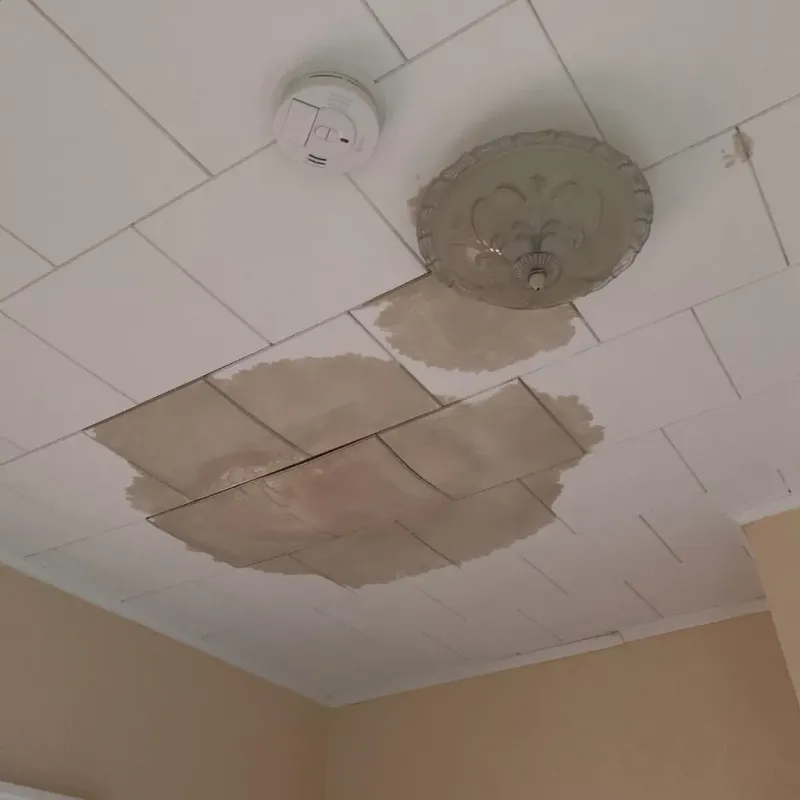 Ceiling Water Damage Repair in Washington County, KS