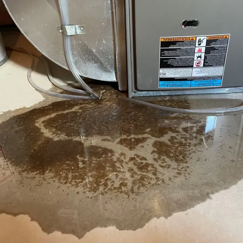 Pipe Burst and Leak Restoration in Washington County, KS