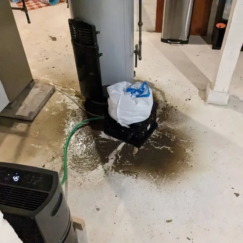 Sewage Backup Cleanup Service in Washington County, KS